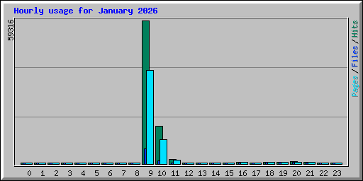 Hourly usage for January 2026